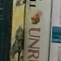 Unruly by David Mitchell @PenguinUKBooks @MichaelJBooks Reads of&nbsp;2025