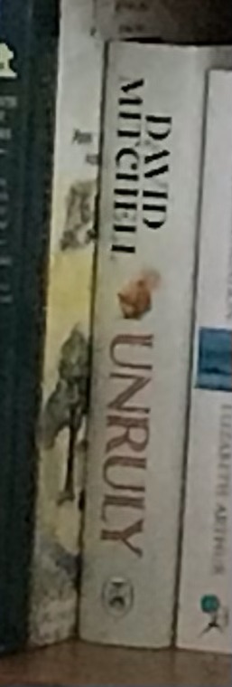 Unruly by David Mitchell @PenguinUKBooks @MichaelJBooks Reads of 2025