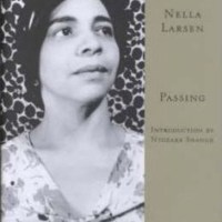 Passing by Nella Larson&nbsp;#NovNov2025