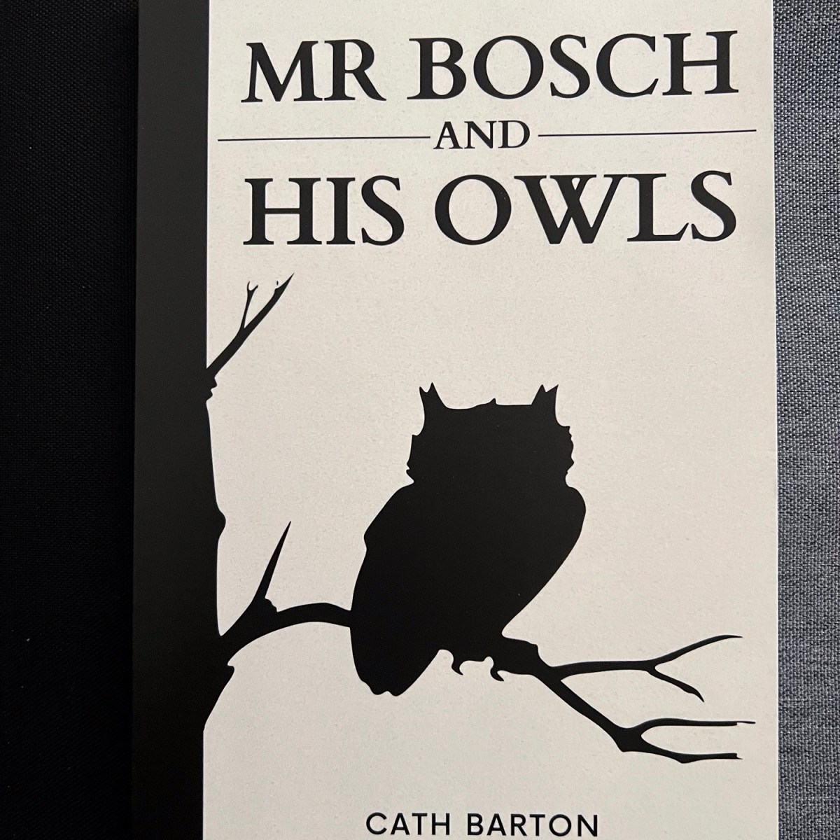 Mr Bosch and His Owls by Cath Barton #ReadIndies&nbsp;@AtomicBohemian