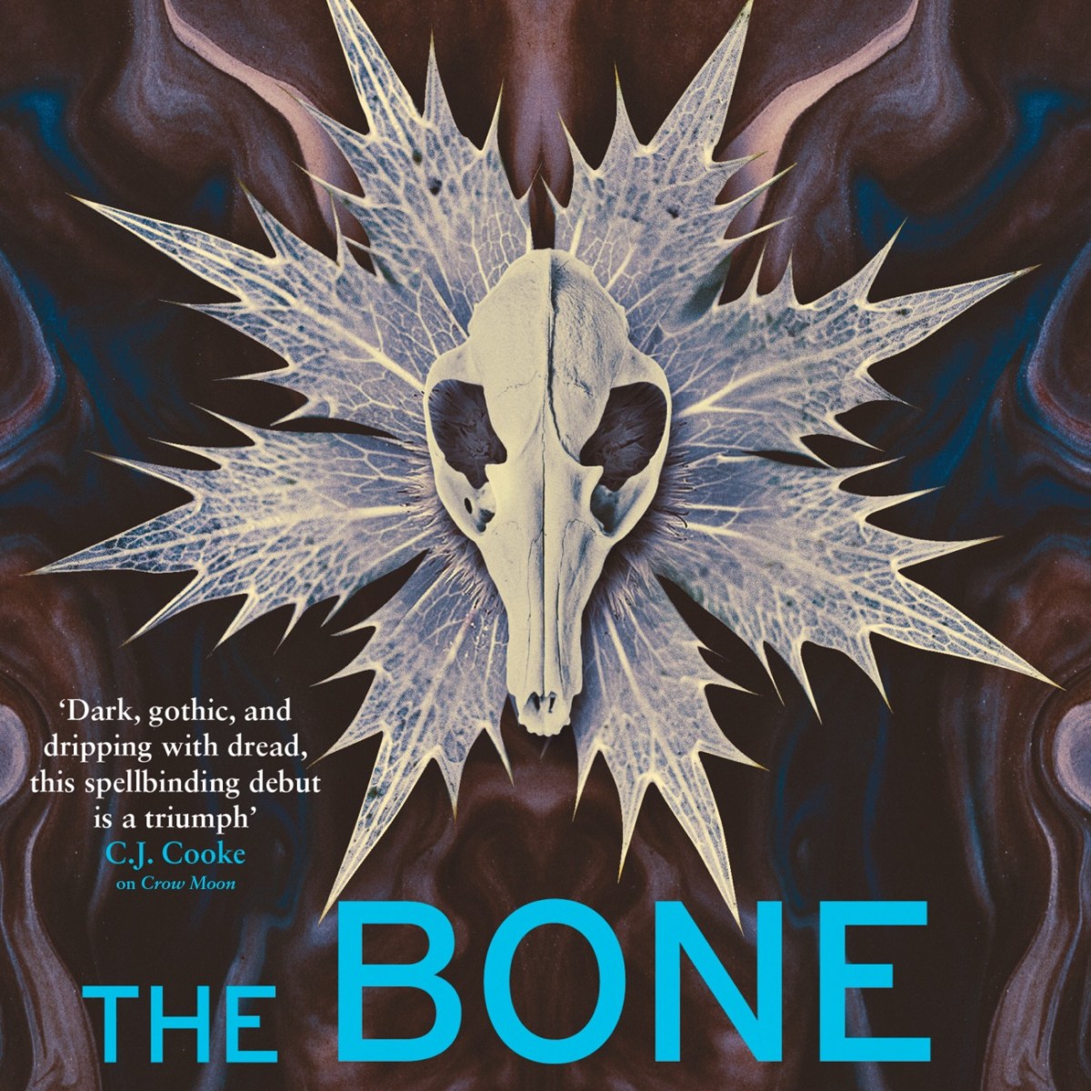 The Bone Mother (Martha Strangeways Investigations #2) by Suzy Aspley #TheBoneMother #Gothic #Mystery #Scotland #MarthaStrangeways #CrimeFiction @Writer_Suzy&nbsp;@OrendaBooks