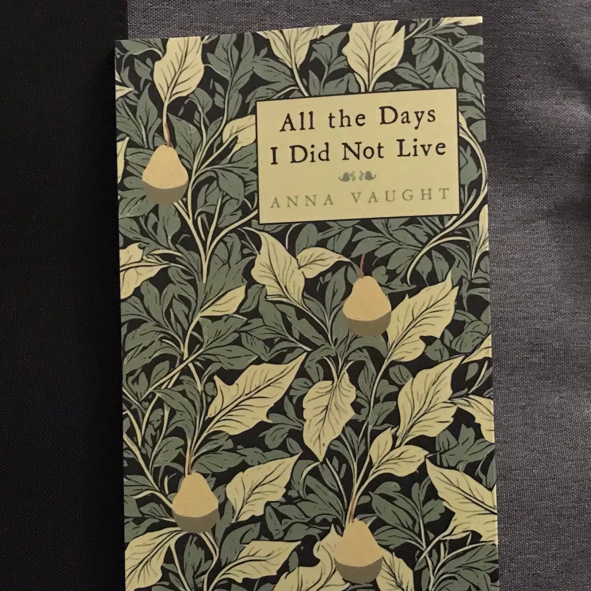 All The Days I Did Not Live by Dr Anna Vaught @RenardPress @BookwormVaught&nbsp;#ReadingWales26
