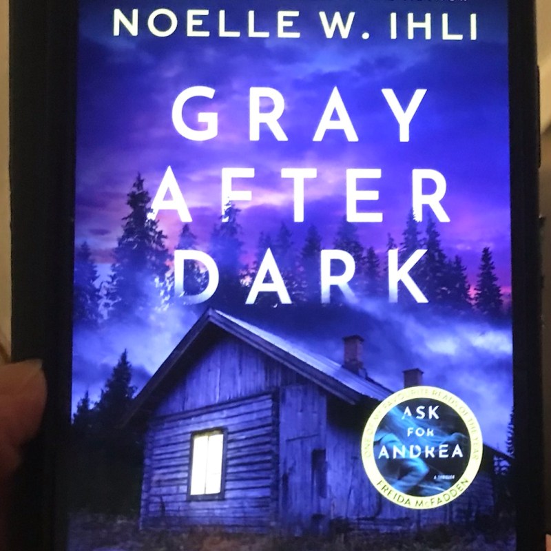 Gray After Dark by Noelle W. Ihli @panmacmillan #TheVirtualCrimeBookClub #20BOS26
