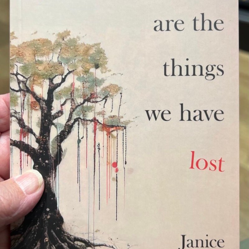 THESE ARE THE THINGS WE HAVE LOST by JANICE&nbsp;WARMAN